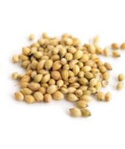 Graines Coriandre 100g