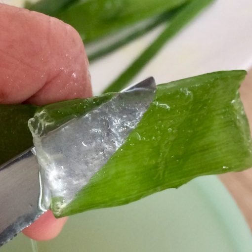 Gel Frais Aloe Vera 60ml