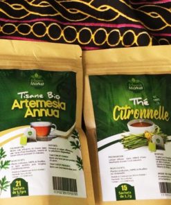 Thé Artemisia en Infusette 21