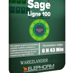 Apprendre Sage Ligne 100 2019 - Formation Video Complète, Garantie 1 Mois