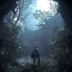 Alternative view of Jeu Demon's Souls PS5