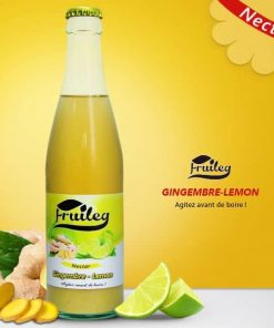 FRUILEG Jus Saveur Nectar Gingembre-Lemon 33cl
