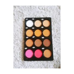 Palette de Poudre Zikel Haute Définition 12 Couleurs