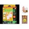 Kinoki Ginger et Salt Formula Premium Detox Foot Pads Organic Herbal 10 Tampons