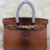 Sac à Main Birkin en Autruche Hermès