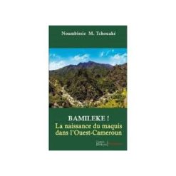 Bamiléké! La Naissance du Maquis dans l'Ouest-Cameroun, de Noubissie M. Tchouake, 2012