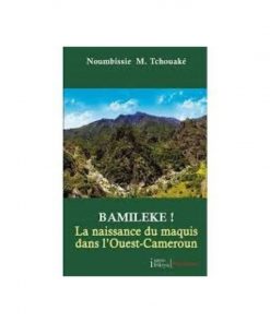 Bamiléké! La Naissance du Maquis dans l'Ouest-Cameroun, de Noubissie M. Tchouake, 2012