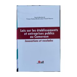 Lois sur les Etablissements et Entreprises publics au Cameroun, de Vivian Ondoua Biwolé, Jean-Claude Tcheuwa, 2018
