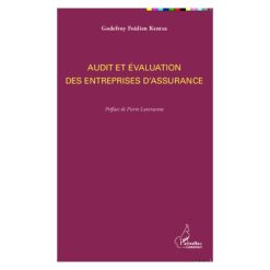 Audit Et Evaluation Des Entreprises D’assurance