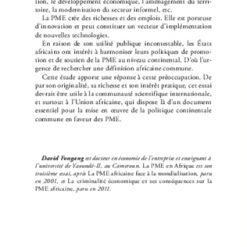 Alternative view of LA PME EN AFRIQUE : Essai d'une définition commune