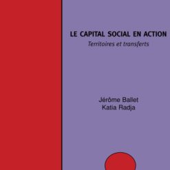 Le Capital Social en Action: Territoires et Transferts