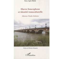 Œuvre Francophone et Identité Transculturelle