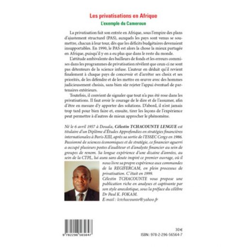 LES PRIVATISATIONS EN AFRIQUE : L'exemple du Cameroun – Image 2