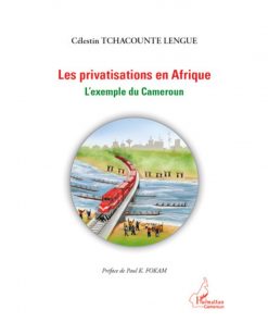 LES PRIVATISATIONS EN AFRIQUE : L'exemple du Cameroun