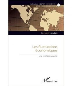 Les Fluctuations Economiques: Une Synthèse Nouvelle