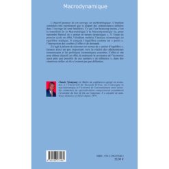Alternative view of MACRODYNAMIQUE, Claude Njomgang 2009