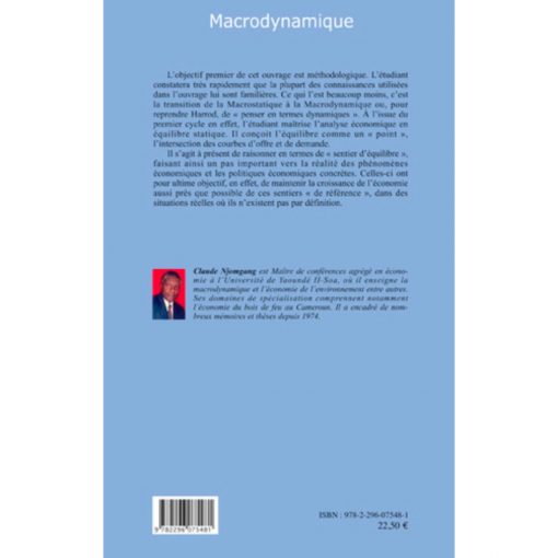 MACRODYNAMIQUE, Claude Njomgang 2009 – Image 2