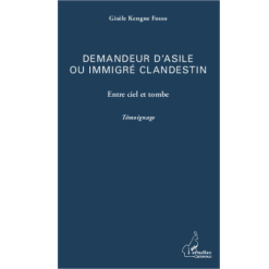 Demandeur d’Asile ou Immigré Clandestin Entre Ciel et Tombe