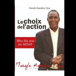 Le Choix de l’Action