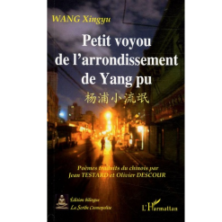 Petit Voyou de l’Arrondissement de Yang Pu