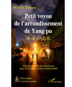 Petit Voyou de l’Arrondissement de Yang Pu