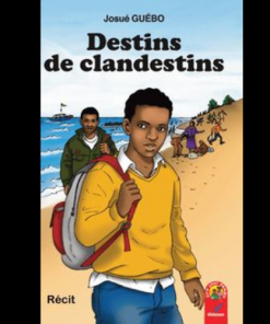Destins de Clandestins