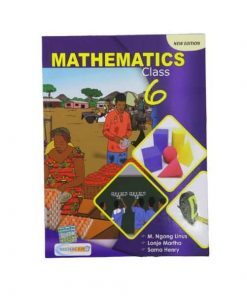 Mathematics Class 6
