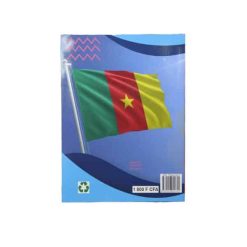 Alternative view of Social Studies Class 5