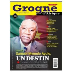 Grogne d'Afrique