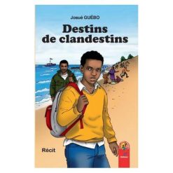 Destins de clandestins