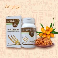 Argousier Cordyceps Sinensis ANGELO HZS, Renforce l'immunité, 60 Capsules 30g