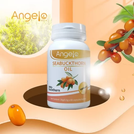 Huile d'Argousier ANGELO HZS, 60 Capsules 30g