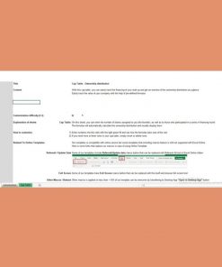 Alternative view of Modèle Excel de Comptabilité & Finances Axé sur le Capital Investissement