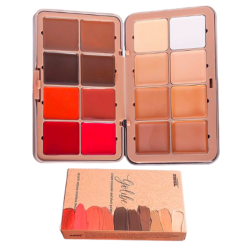 Palette de Maquillage Zikel 16 Couleurs