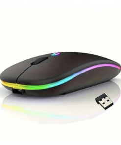 Souris sans Fil Rechargeable Rétroéclairée pour Ordinateur avec Option Silencieuse