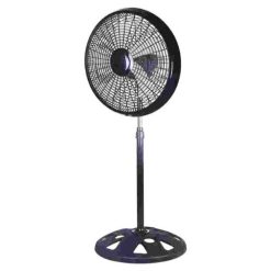 Ventilateur Royal 2004