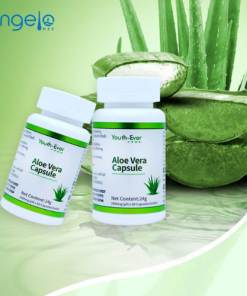 Compléments Alimentaires Youth-ever Capsules à l'Aloe Vera 24g