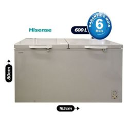 Congélateur Hisense FC729DD4SA, Deux Portes Gris 600L Garantie 6 Mois