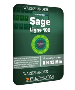 SAGE 100 CLOUD Pack complet de formation vidéo, Comptabilité, Gestion des ventes, Immobilisations