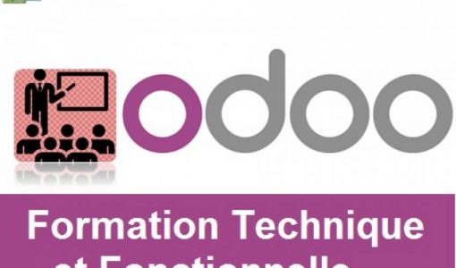 Formation Logiciel ERP Odoo V15-16-17-18 – Image 2