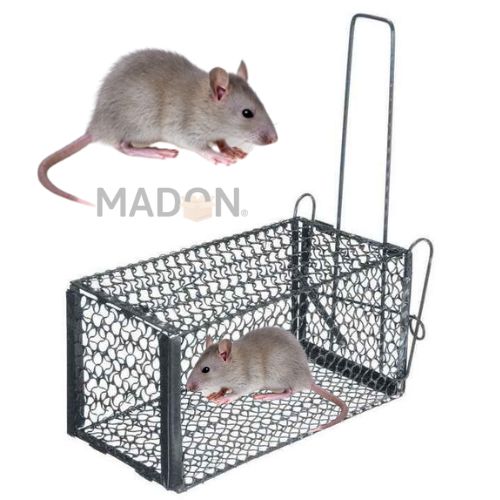 MADON PROD