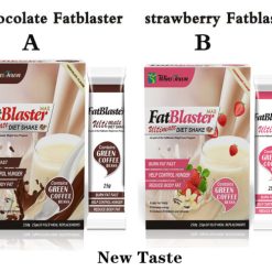 Alternative view of FatBlaster Boisson Diététique Ultime WINS TOWN 25g X 10 sachets