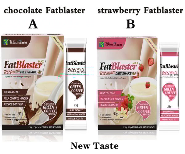 FatBlaster Boisson Diététique Ultime WINS TOWN 25g X 10 sachets – Image 2