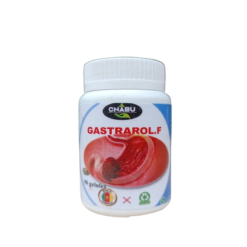 Gastrarol F , Supplément Alimentaire Riche en Calcium et Vitamine C 90 Gélules