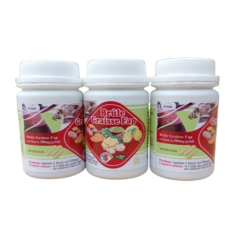 Gélule Brule Graisse Fap, Boite de 90 Gélules