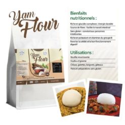 Alternative view of Farine d'Igname 100% BIO Pact Sarl Sans Gluten 1Kg