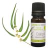 Huile Essentielle de Cajeput BIO , Revigorante & Purifiante , 10ml