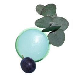 Alternative view of Déodorant Stick Naturel Vinofresh CAUDALIE