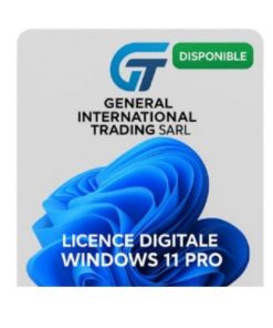 Carte de licence numérique pour Windows 11 Pro