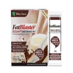 Boisson Diététique FatBlaster Ultime Faveur chocolaté WINS TOWN 10 sachets 250g